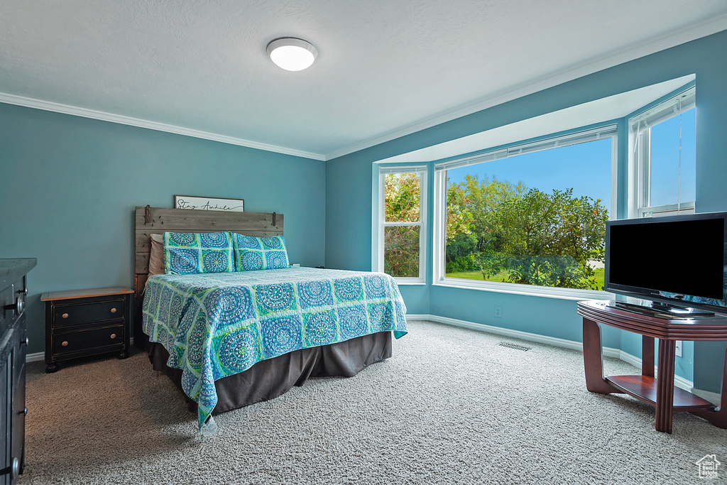 Carpeted bedroom featuring baseboards and crown molding