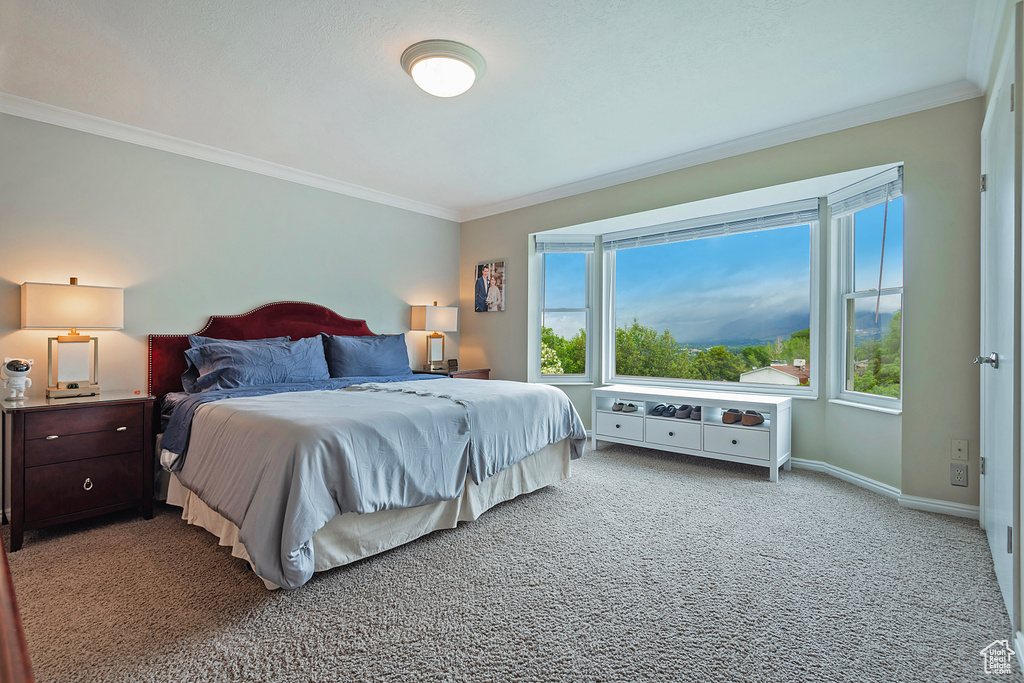 Bedroom featuring crown molding, carpet flooring, baseboards, and multiple windows