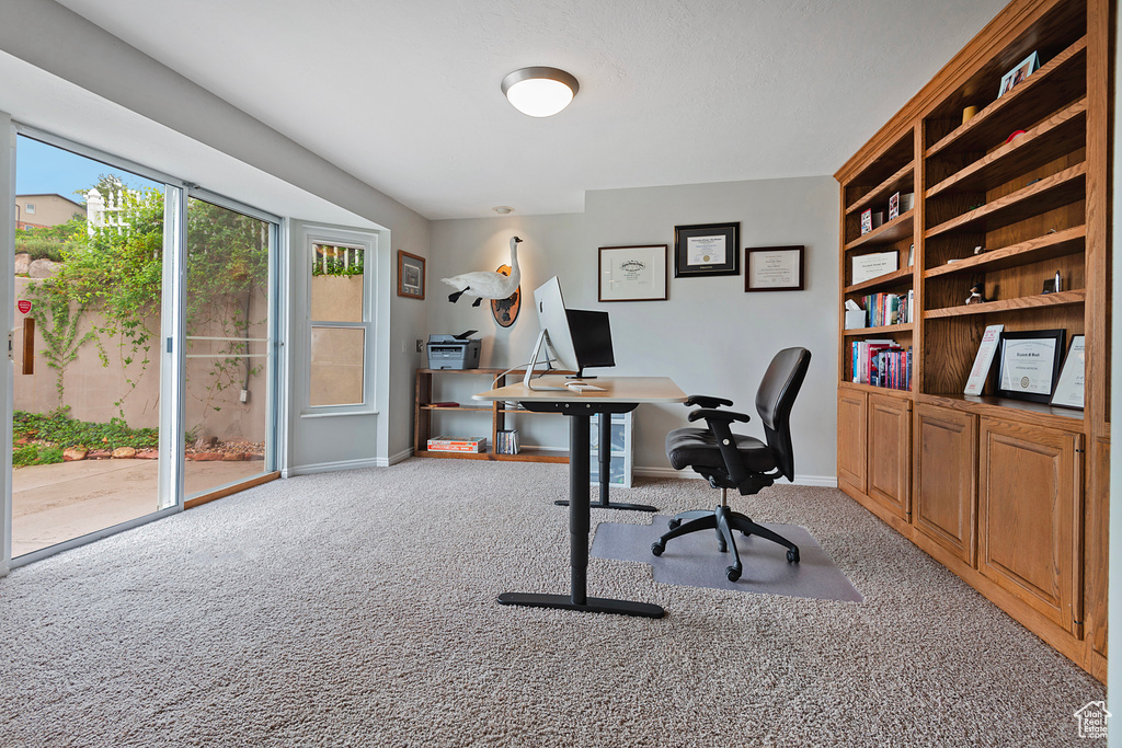 Office featuring light carpet and baseboards