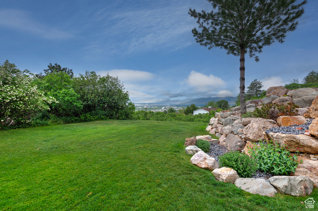 View of green lawn