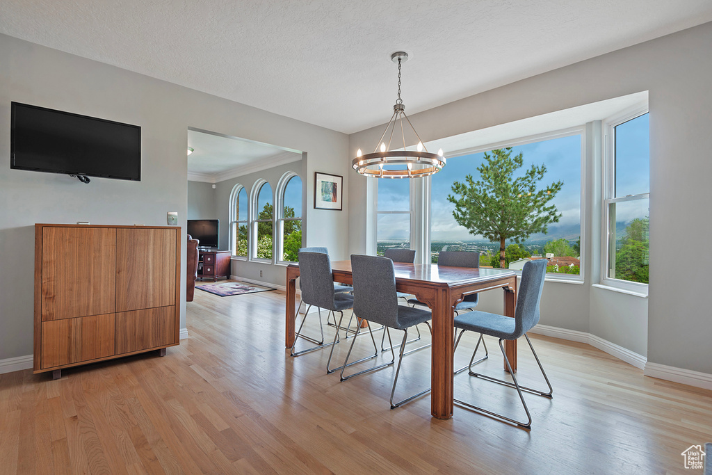 Dining room featuring a chandelier, baseboards, and light wood-style floors