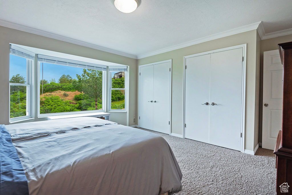 Bedroom featuring two closets, carpet flooring, crown molding, and baseboards