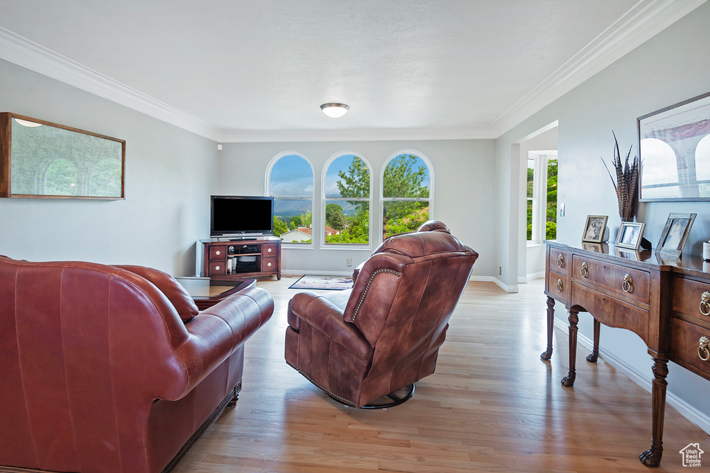 Living room featuring light wood finished floors, crown molding, and baseboards