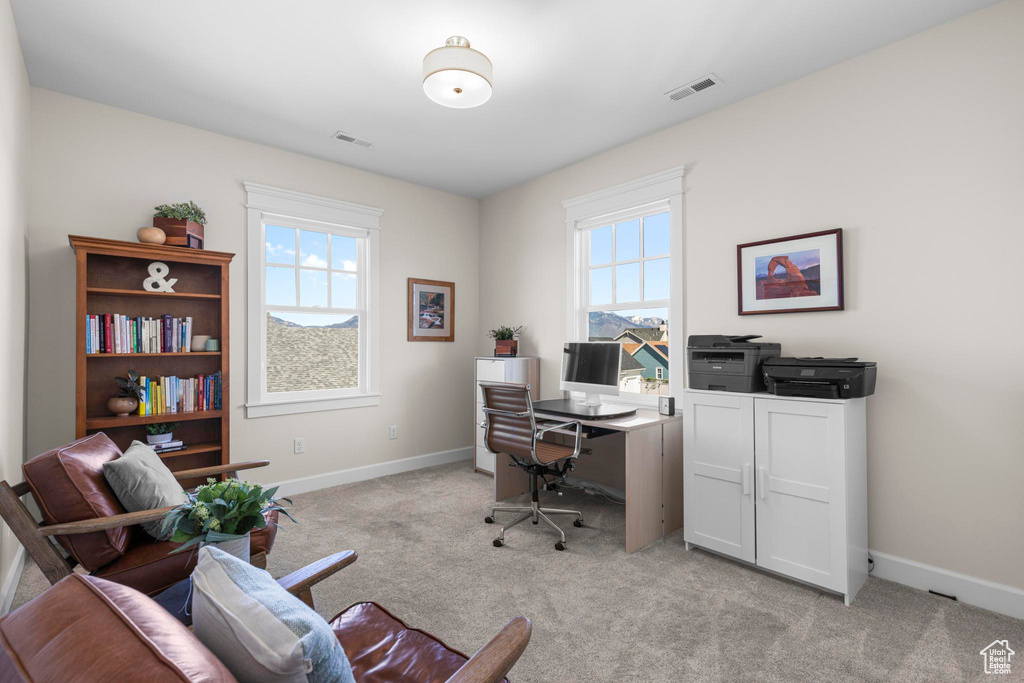 Office space with plenty of natural light, light carpet, and baseboards