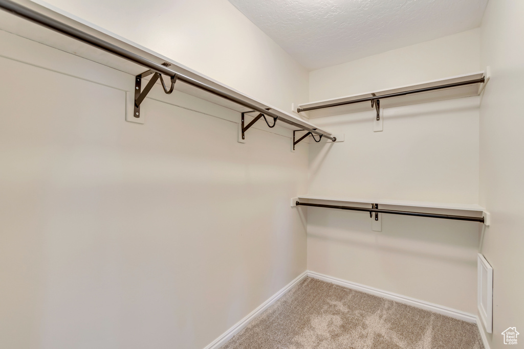 Walk in closet with light colored carpet