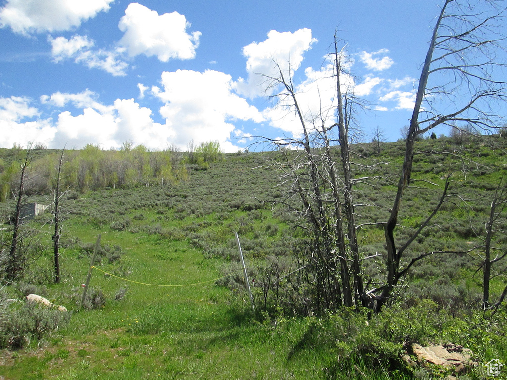 View of undeveloped land