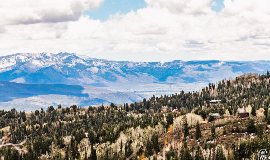 View of mountain backdrop featuring a heavily wooded area
