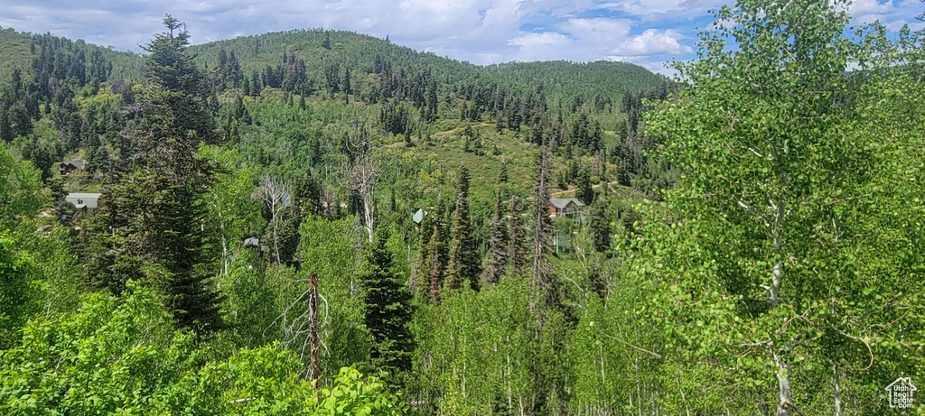 View of mountain backdrop with a forest