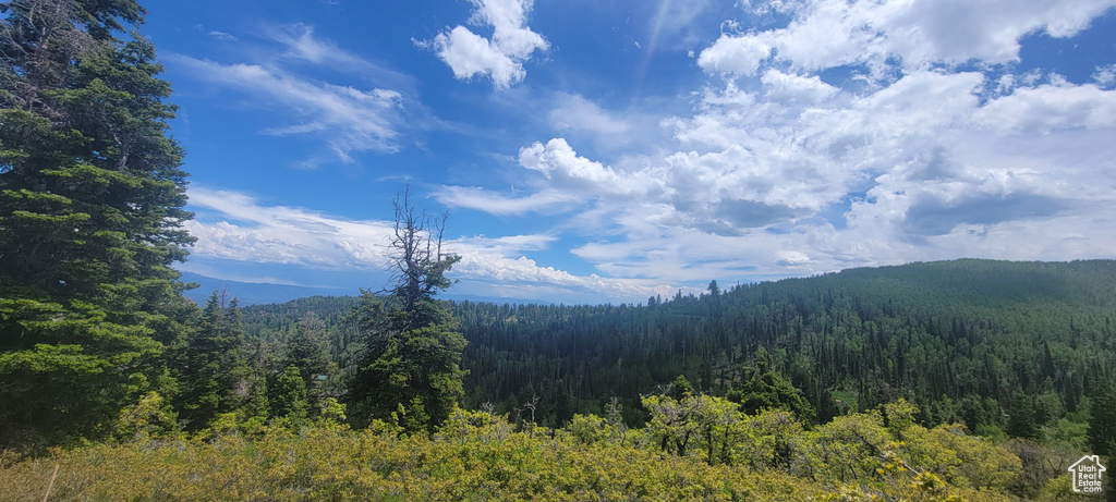 Mountain view with a forest