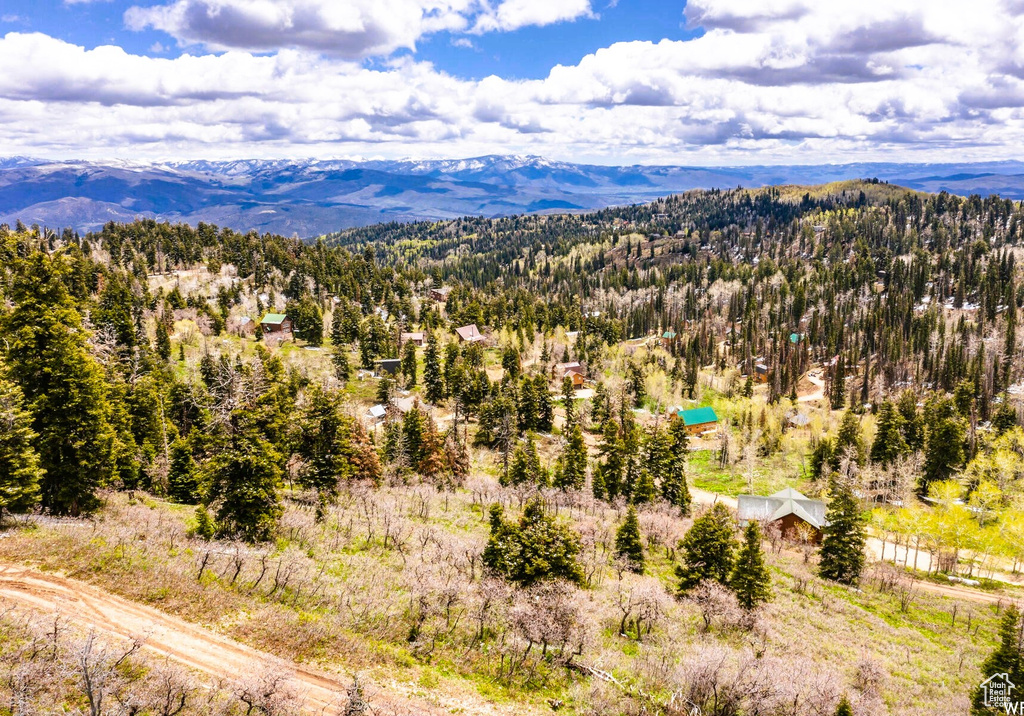 Drone / aerial view of a mountain backdrop and a heavily wooded area
