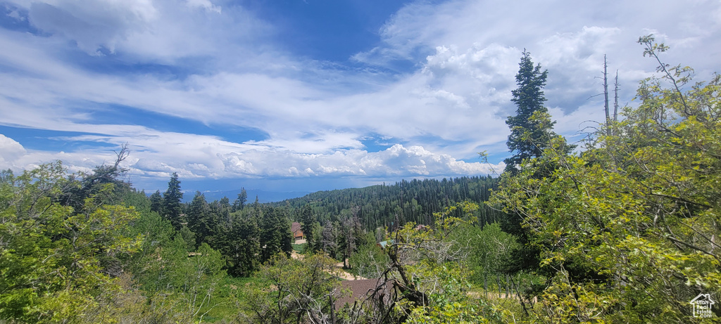 View of mountain backdrop with a heavily wooded area