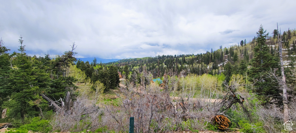 View of mountain background featuring a heavily wooded area