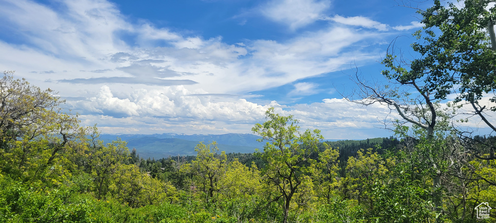 View of mountain backdrop featuring a forest