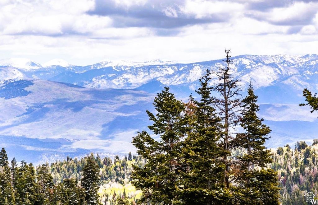 View of mountain background