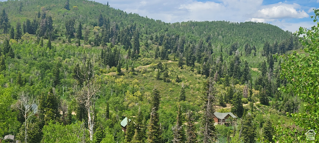 View of mountain background with a forest