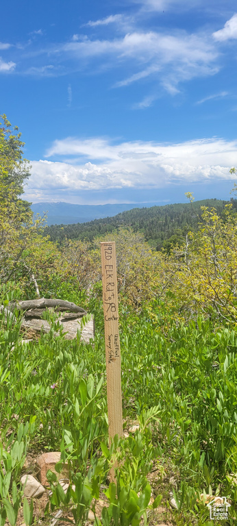 Mountain view with a heavily wooded area