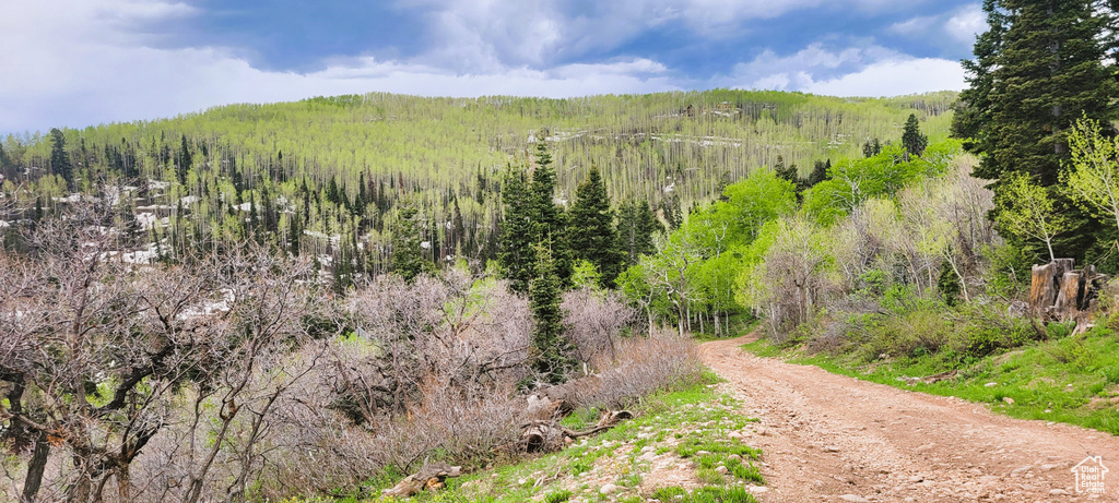 Mountain view featuring a forest