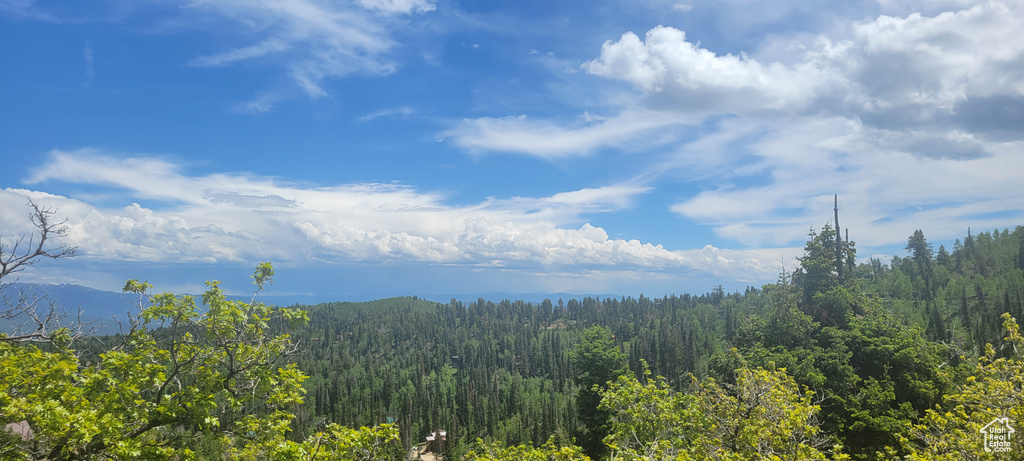 Mountain view with a forest