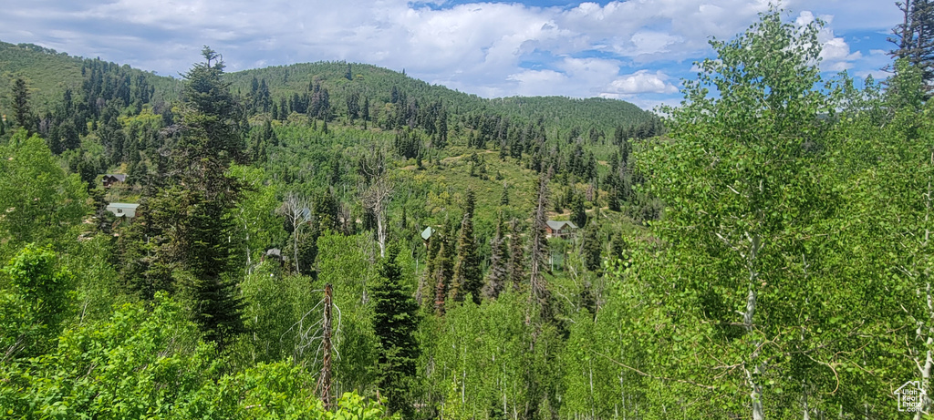 View of mountain background with a heavily wooded area