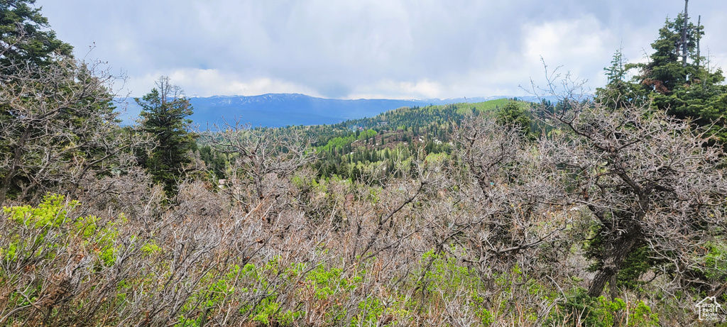 View of mountain backdrop featuring a forest