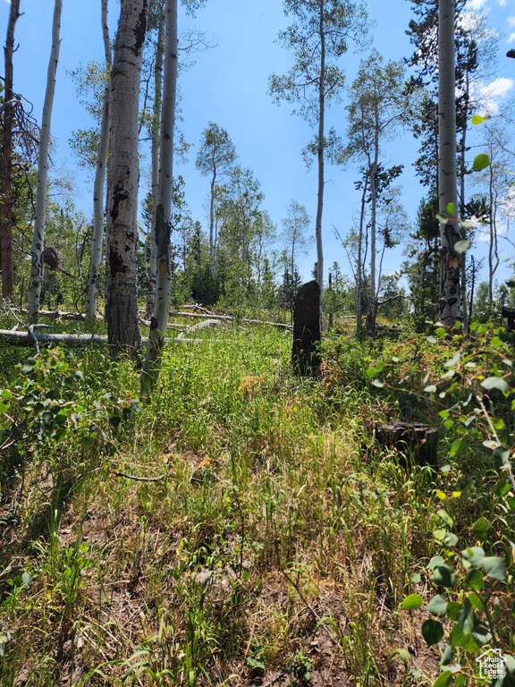 View of undeveloped land
