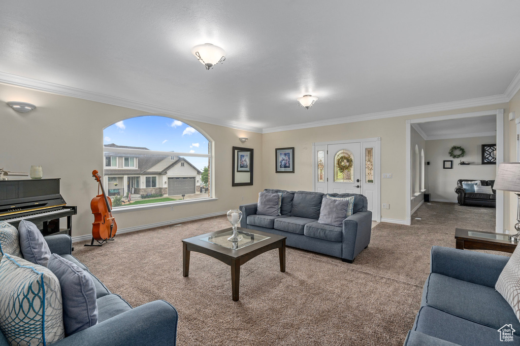 Carpeted living area featuring crown molding and baseboards