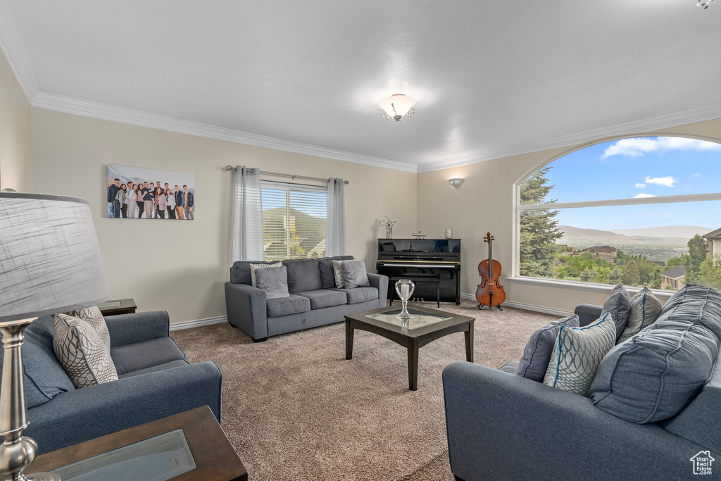 Carpeted living room featuring crown molding, baseboards, and a mountain view