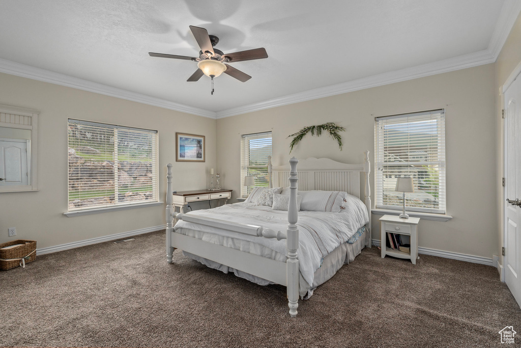 Bedroom with crown molding, multiple windows, carpet floors, and baseboards