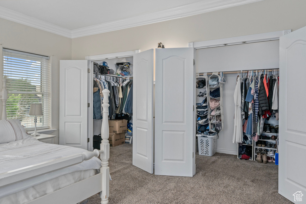 Carpeted bedroom with crown molding and a spacious closet