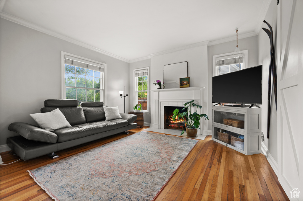 Living room featuring a tile fireplace, hardwood / wood-style flooring, crown molding, and baseboards