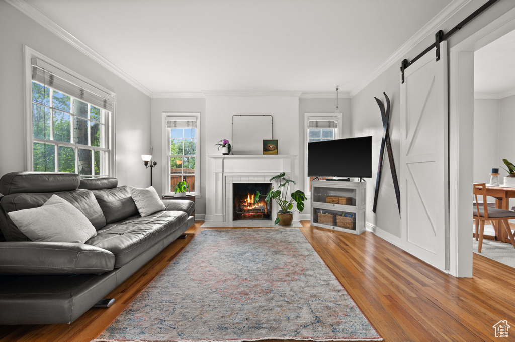 Living room with wood finished floors, a barn door, crown molding, a fireplace, and baseboards