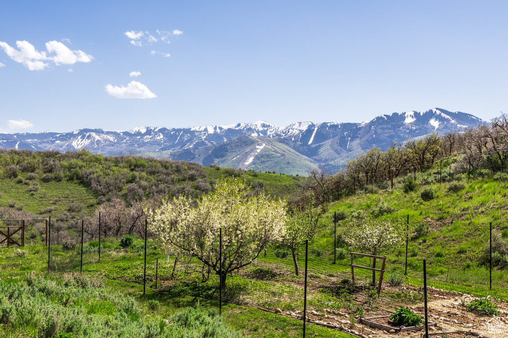 Mountain view featuring rural landscape