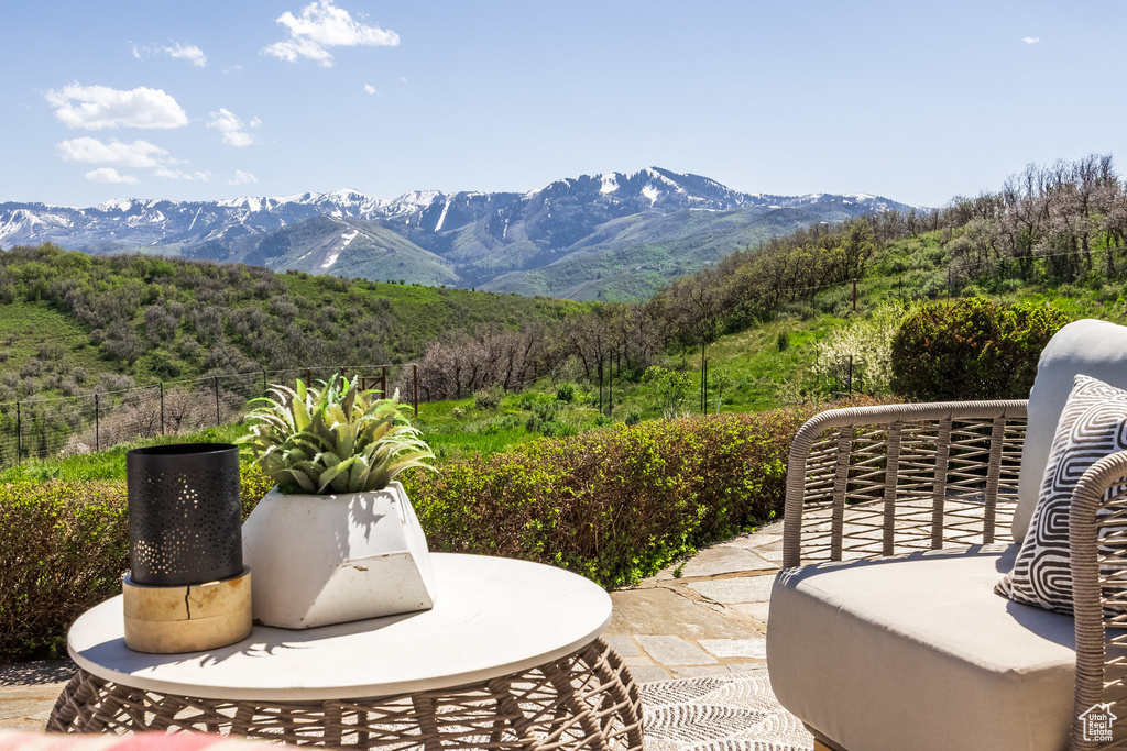 Mountain view with a heavily wooded area