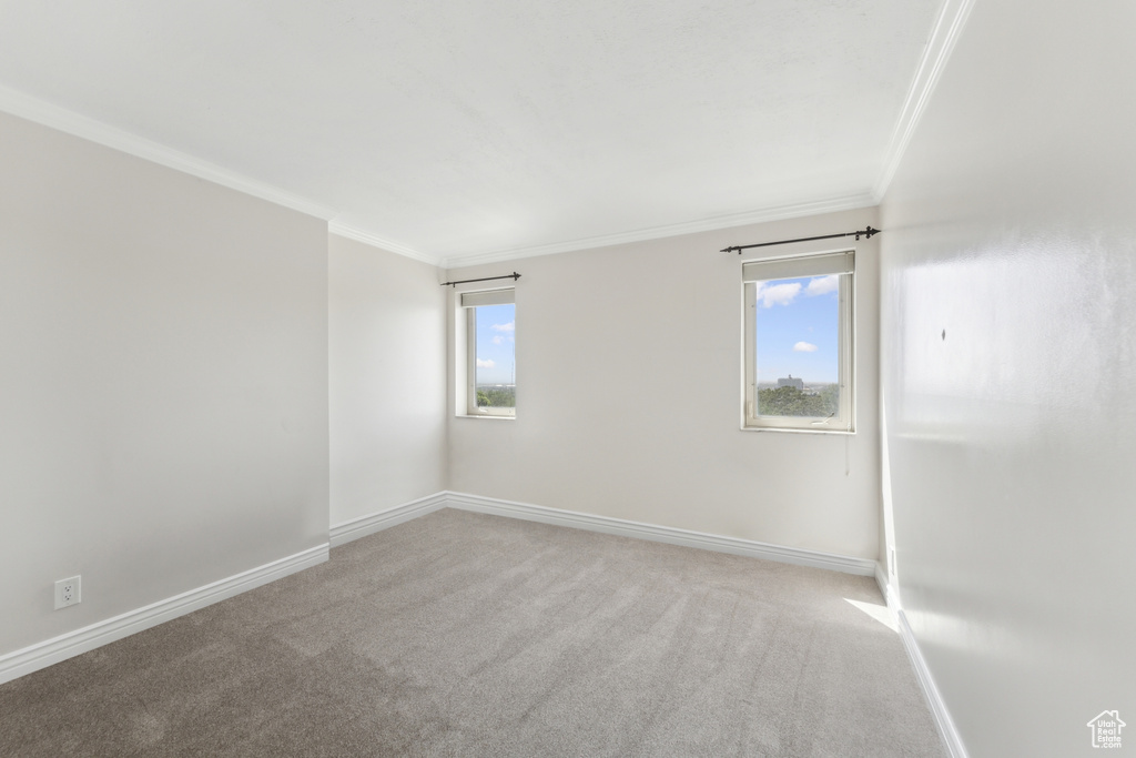 Carpeted spare room with ornamental molding and baseboards