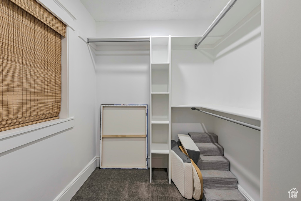 Walk in closet featuring carpet floors