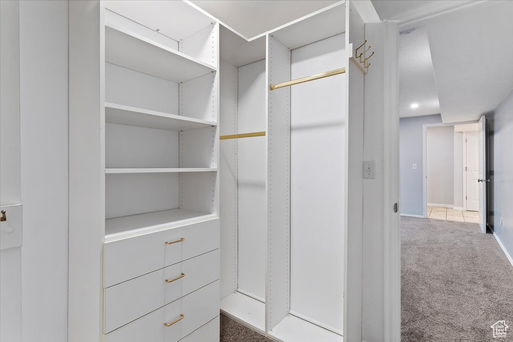 Spacious closet featuring carpet flooring