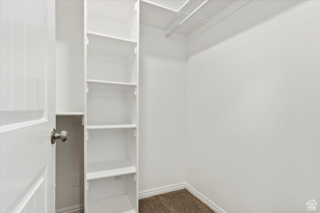 Spacious closet featuring carpet flooring