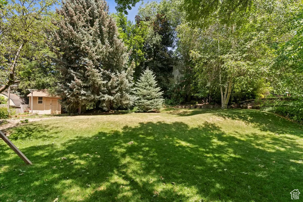 View of green lawn
