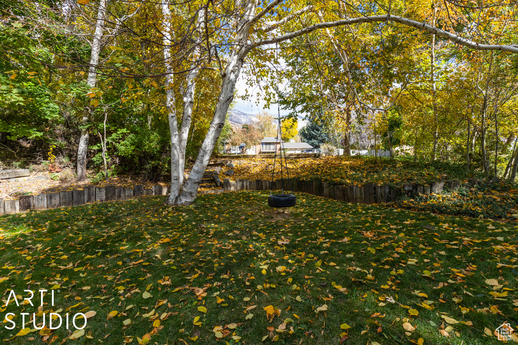 View of green lawn