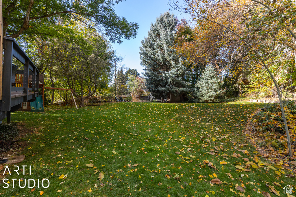 View of grassy yard