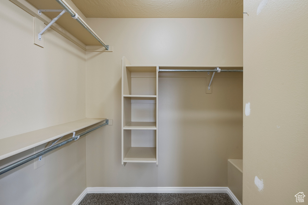 Walk in closet featuring carpet flooring