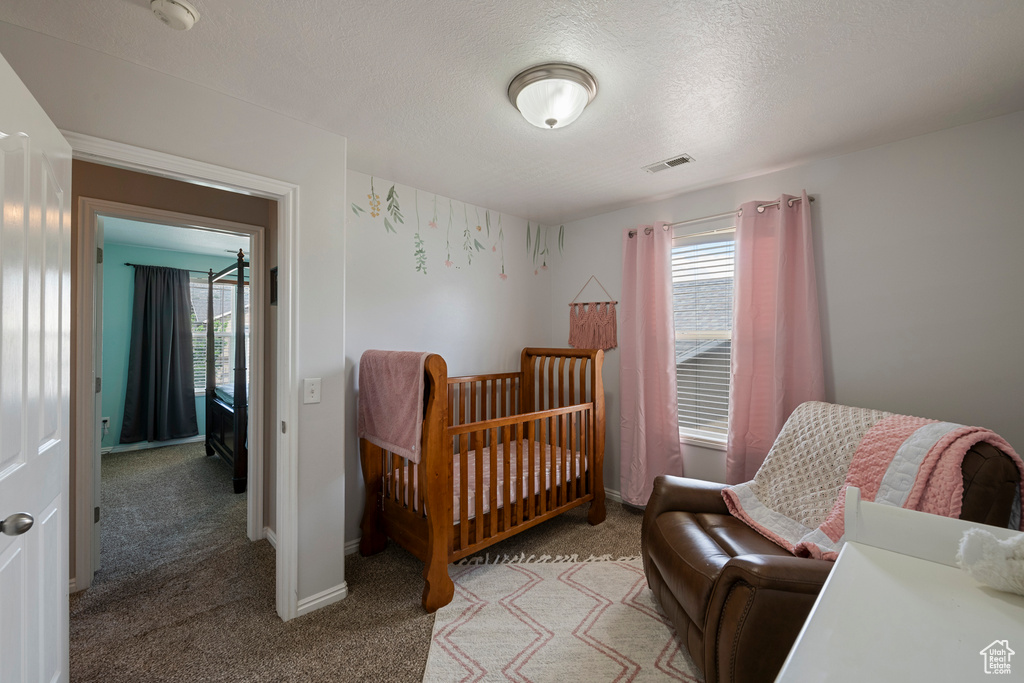 Bedroom featuring multiple windows, light colored carpet, a textured ceiling, and baseboards