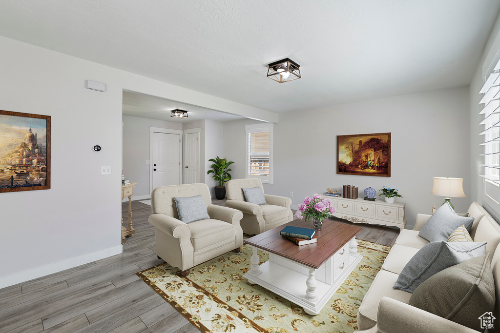 Living room with light wood-style flooring and plenty of natural light