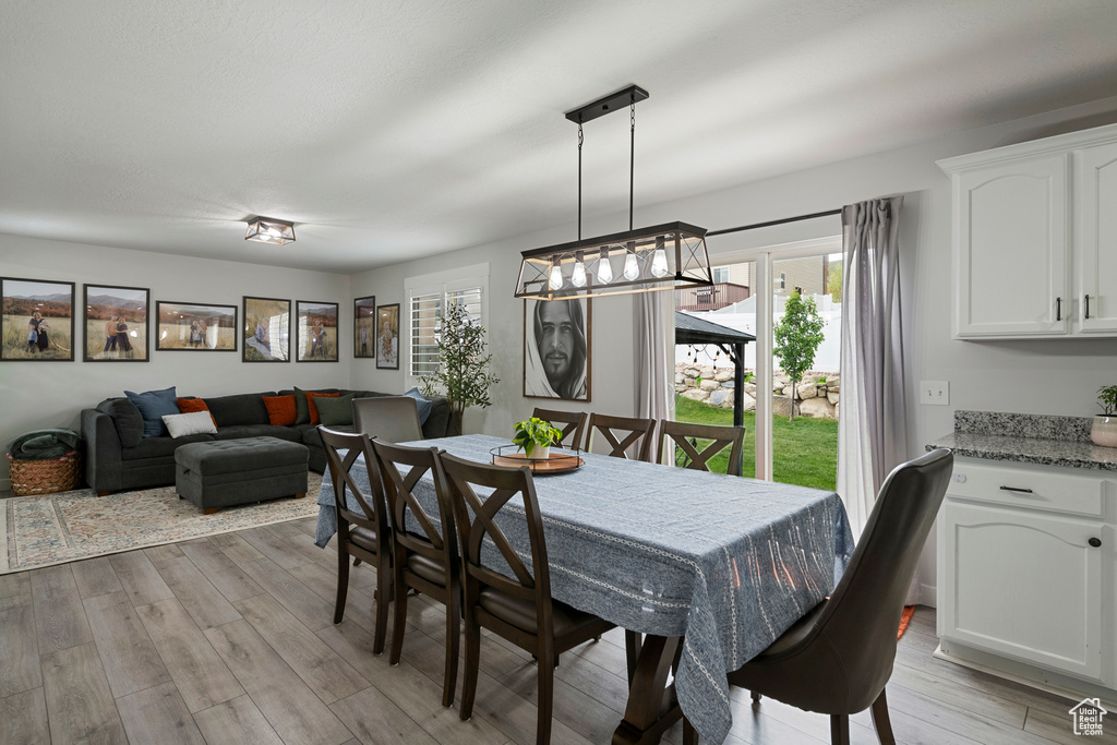 Dining space featuring light wood-style floors and plenty of natural light
