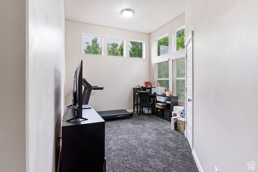 Office featuring dark carpet and baseboards
