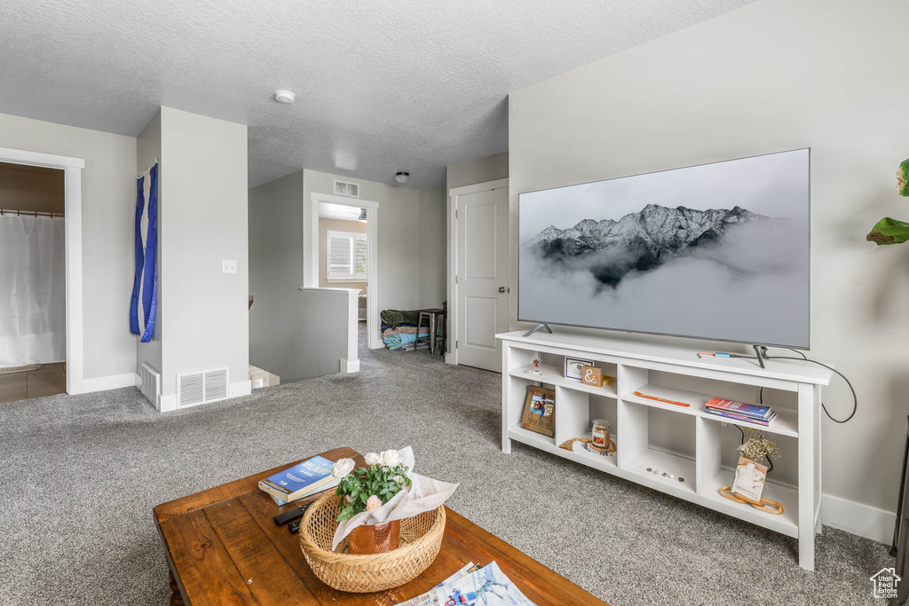 Living room featuring baseboards, a textured ceiling, and carpet floors