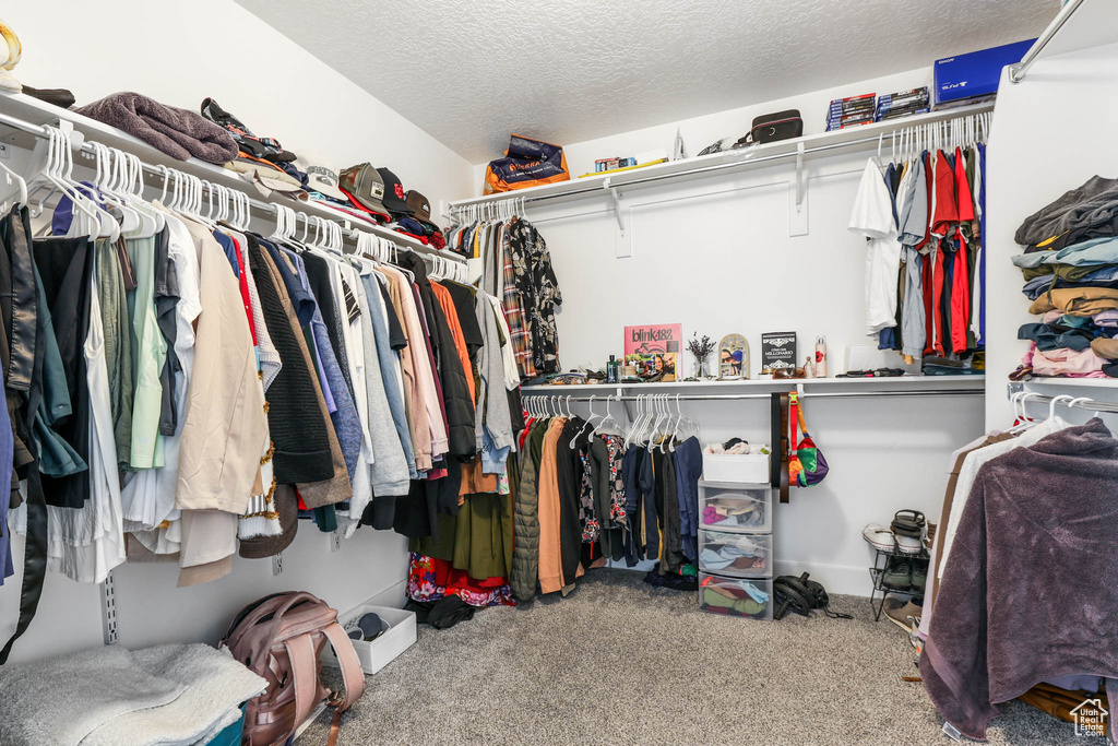 Spacious closet featuring carpet floors