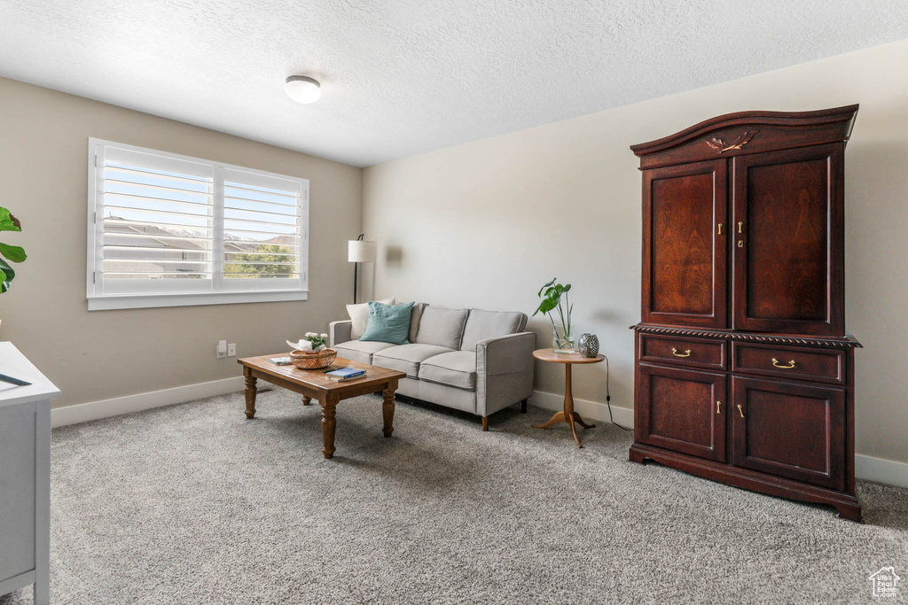 Living area with light colored carpet, baseboards, and a textured ceiling