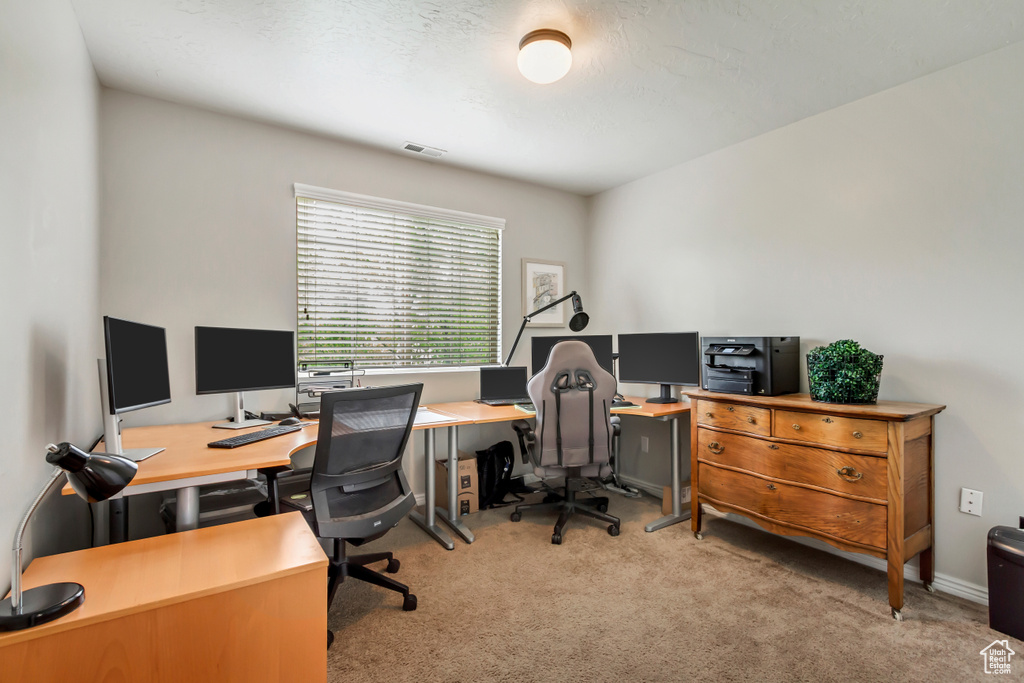 Office featuring carpet flooring