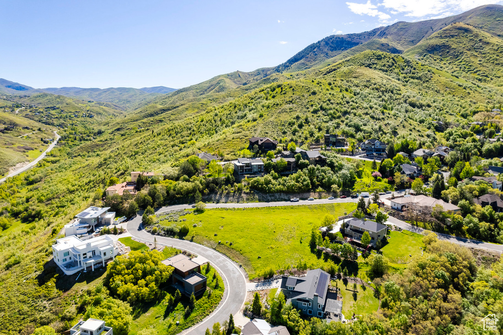 Bird's eye view of a mountain backdrop